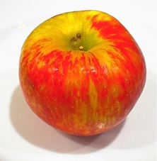 Honeycrisps are back!